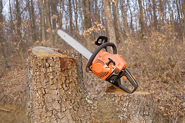 Image showing Chainsaw