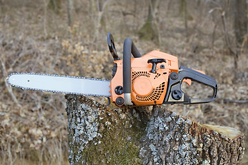 Image showing Chain Saw