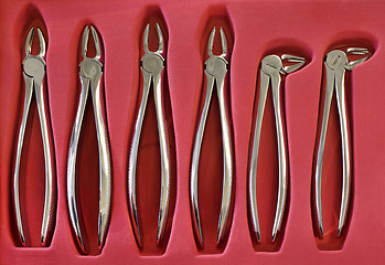 Image showing Dental Pliers