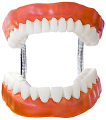 Image showing Denture Model Cutout