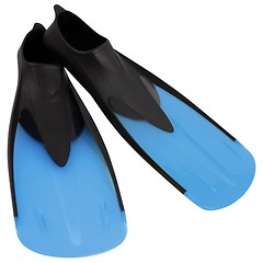 Image showing Flippers