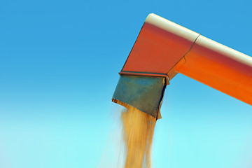 Image showing Grain Auger