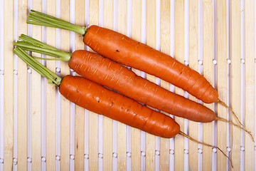 Image showing Freshly washed whole carrots