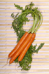 Image showing Freshly washed whole carrots
