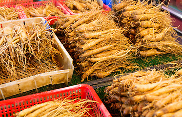Image showing Ginseng for sell in food market