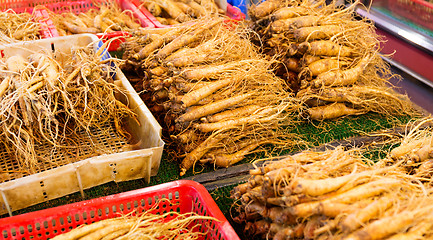 Image showing Ginseng sticks