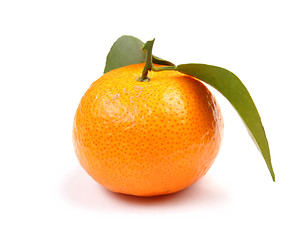 Image showing Orange mandarin with green leaf