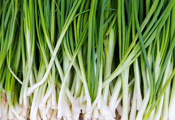 Image showing Texture background of fresh scallion 