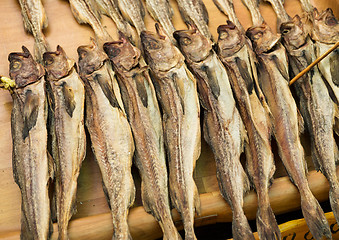 Image showing Salty fish