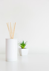 Image showing Home diffuser and small green plant