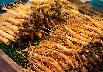 Image showing Ginseng root stick