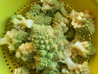 Image showing Romanesco Broccoli