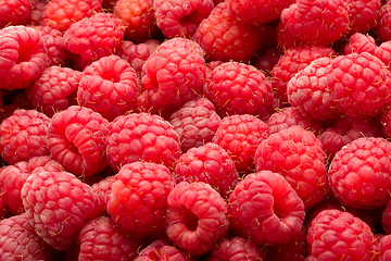 Image showing Raspberries