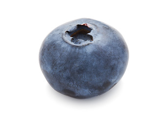 Image showing Blueberry