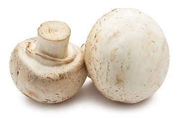 Image showing Champignon mushrooms