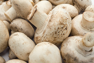 Image showing Champignon mushrooms