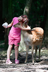 Image showing Girl and sika deer