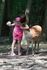 Image showing Girl and sika deer