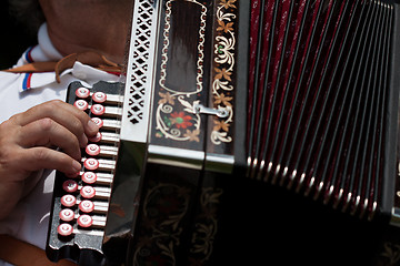 Image showing The accordion