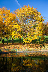 Image showing Autumn