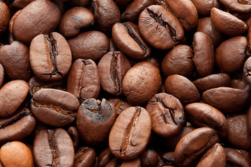 Image showing Coffee beans