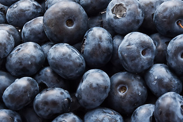 Image showing Blueberries