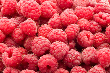 Image showing Raspberries