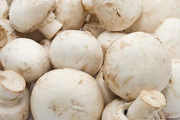 Image showing Champignon mushrooms