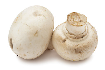 Image showing Champignon mushrooms