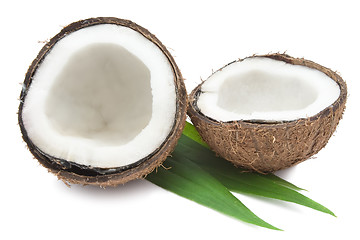 Image showing Coconut