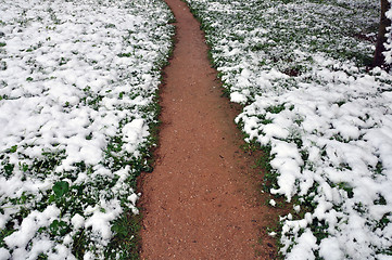 Image showing snow roads