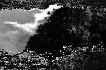 Image showing muddy water reflection