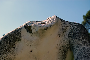 Image showing headless marble statue