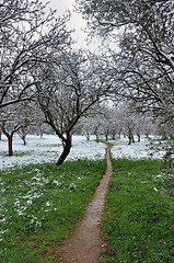 Image showing first snow this year