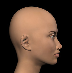 Image showing female figure profile
