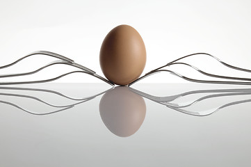 Image showing Hen's Egg