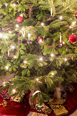 Image showing Presents under the christmas tree