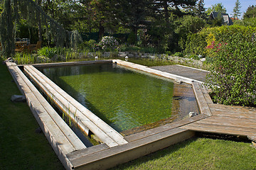 Image showing Swimming pool