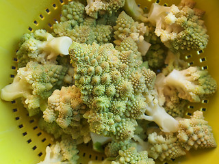 Image showing Romanesco Broccoli
