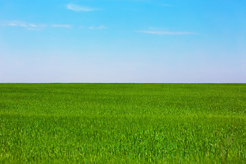 Image showing Green plain field