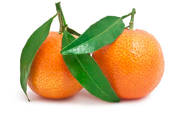 Image showing Tangerines