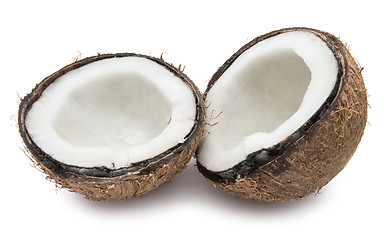 Image showing Coconut