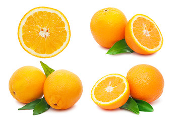 Image showing Oranges