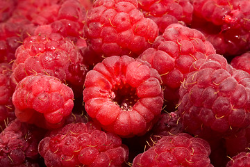 Image showing Raspberries