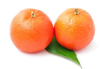 Image showing Tangerines