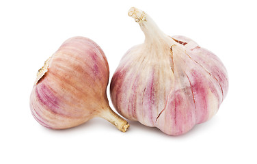 Image showing Garlic