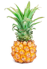 Image showing Pineapple