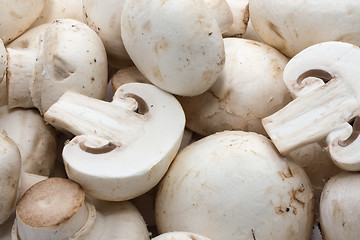 Image showing Champignon mushrooms