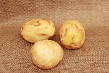 Image showing tasty potato on the gray sacking