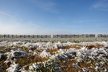 Image showing winter background with frost grass and snowdrift barrier